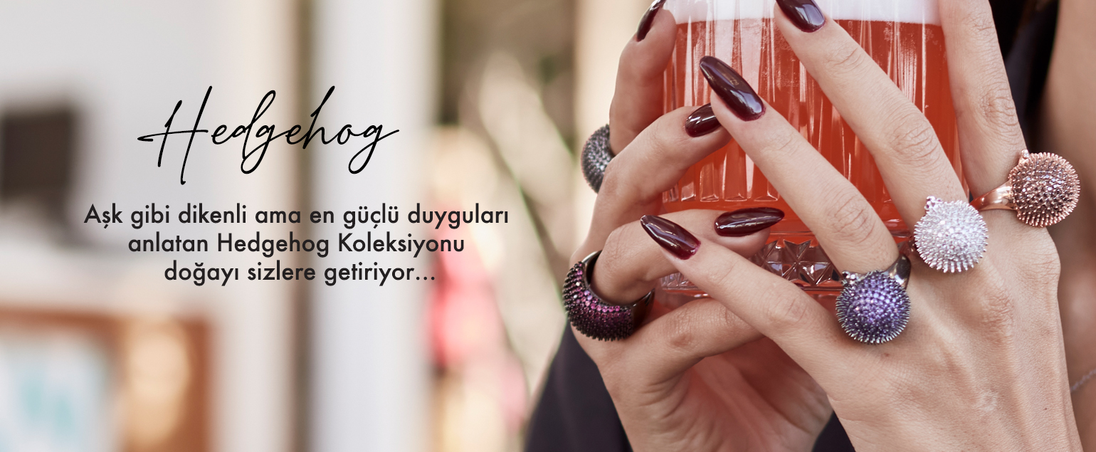 Roberto Bravo Gümüş Hedgehog Koleksiyon Ürünleri